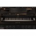 IK Multimedia Pianoverse HAMBURG GRAND S274 鋼琴虛擬樂器 Plugin (序號下載版)